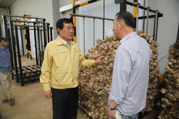 마늘 작업장 현장 방문 이미지