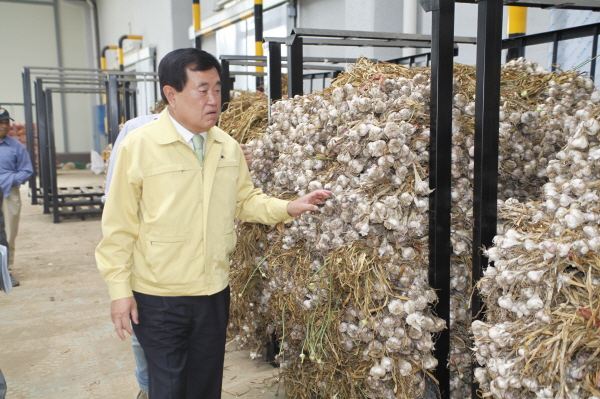 마늘 작업장 현장 방문 첨부#2