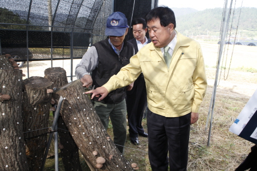 표고버섯 재배 농장 방문 이미지