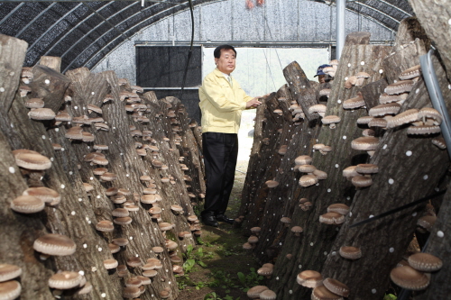 표고버섯 재배 농장 방문 첨부#2