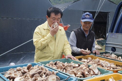 표고버섯 재배 농장 방문 첨부#5