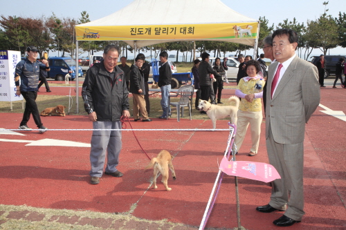제19회 우수진도개 선발대회 이미지