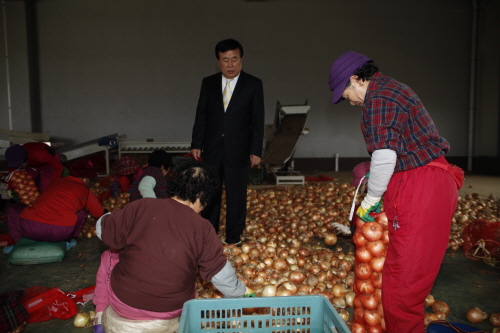 서진유통센터 배추 미국 수출 및 양파 작업장 방문 첨부#2