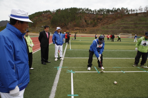 노인게이트볼 동호인 대회 첨부#2