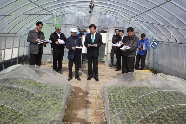 임회광전 인공씨감자 배양장 이미지