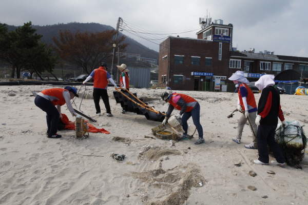 진도군 공무원 가계해변 청소 이미지