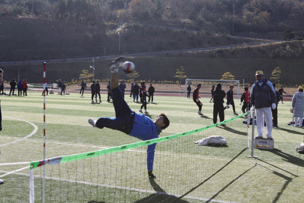 제8회 진도군수배 족구대회 이미지