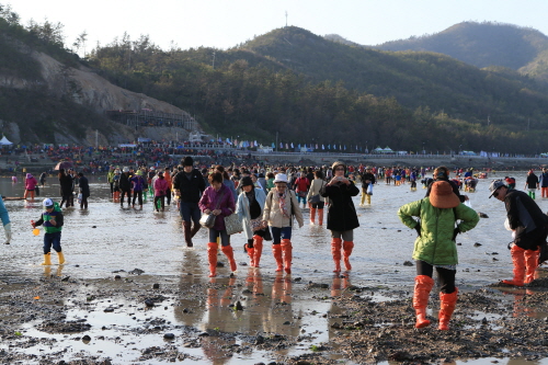 제35회 진도신비의바닷길 축제 첨부#13