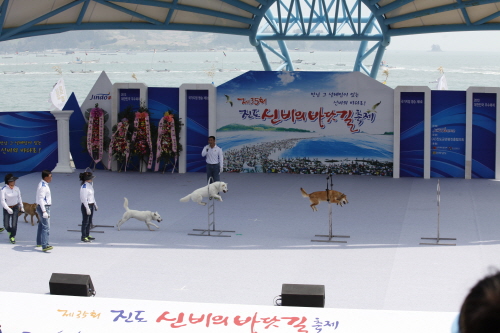 제35회 진도신비의바닷길 축제2 이미지