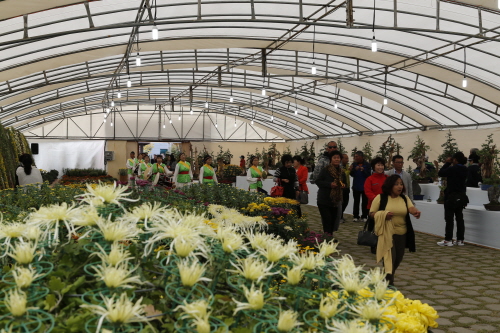 진도국화축제 개장식 첨부#3