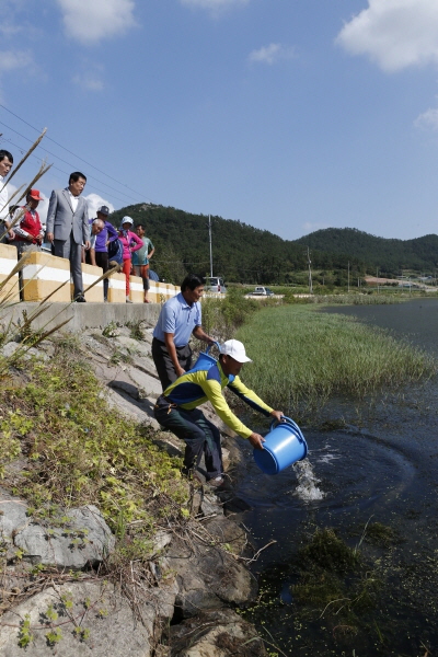 내수면 활성화를 위한 잉어, 붕어 방류 첨부#2