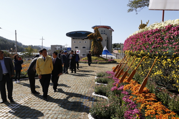 국화작품 전시회 개장식 첨부#3