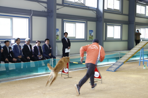 진도개 훈련장 진도개선수촌 준공식 첨부#4