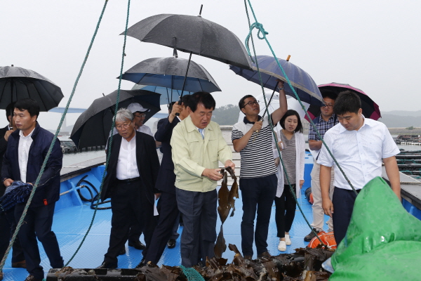 삼성웰스토리 조도농수산물 품질 현장답사 이미지