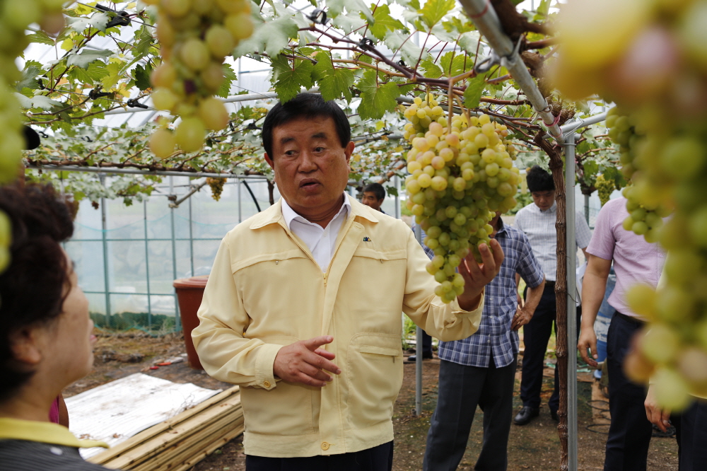군내면 장언리 포도재배농가 방문 이미지