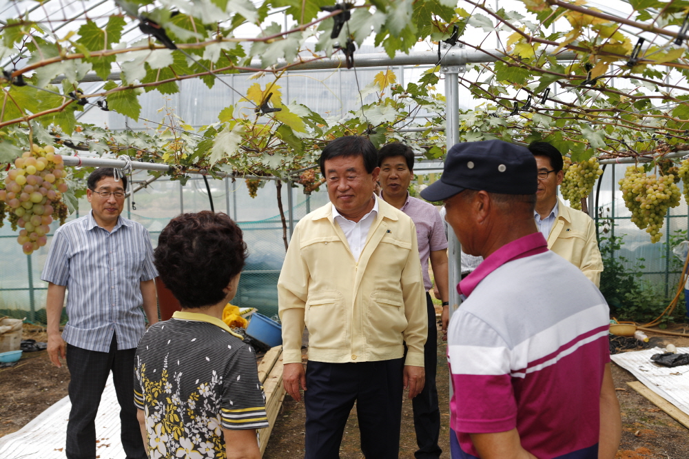 군내면 장언리 포도재배농가 방문 첨부#2