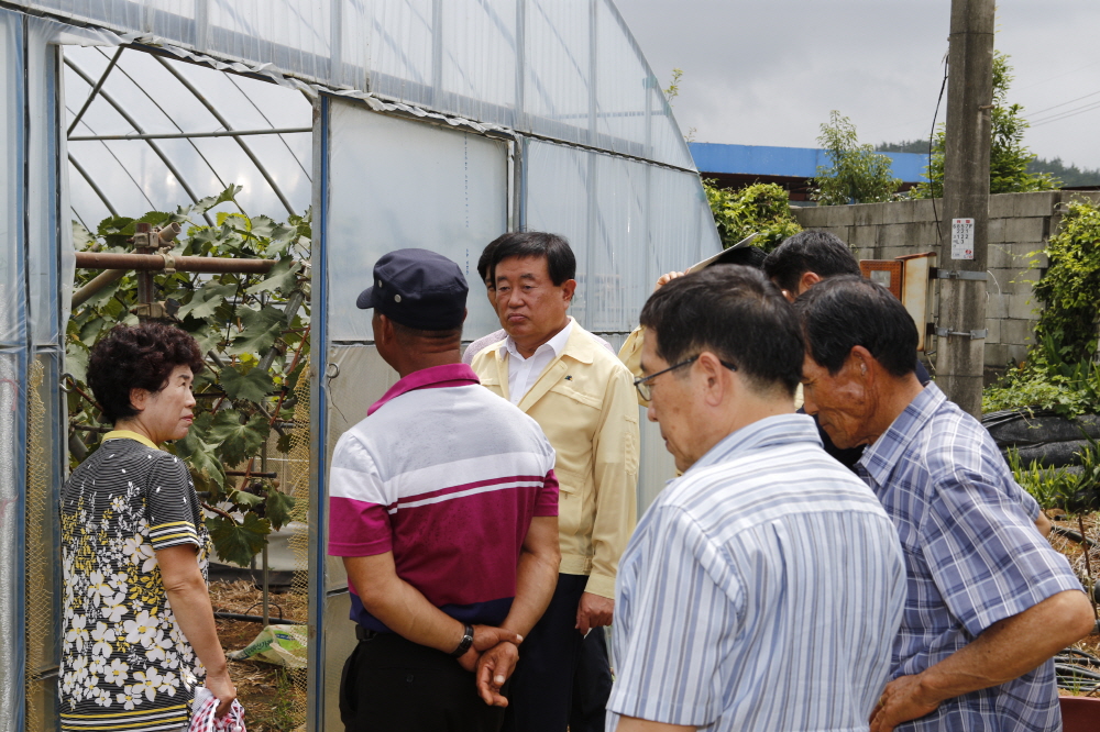 군내면 장언리 포도재배농가 방문 첨부#3