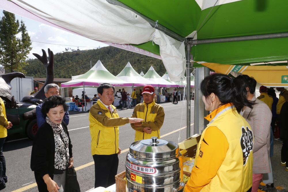 2015 명량대첩축제 이미지