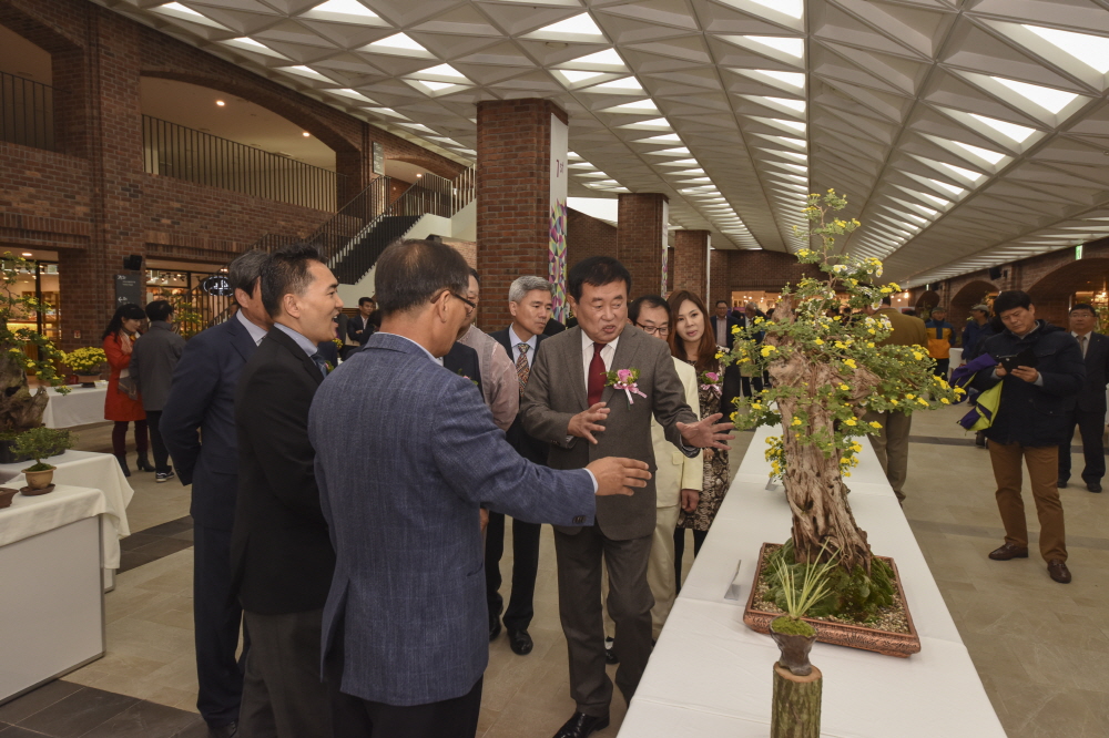 명동성당 국화작품 전시회 첨부#3