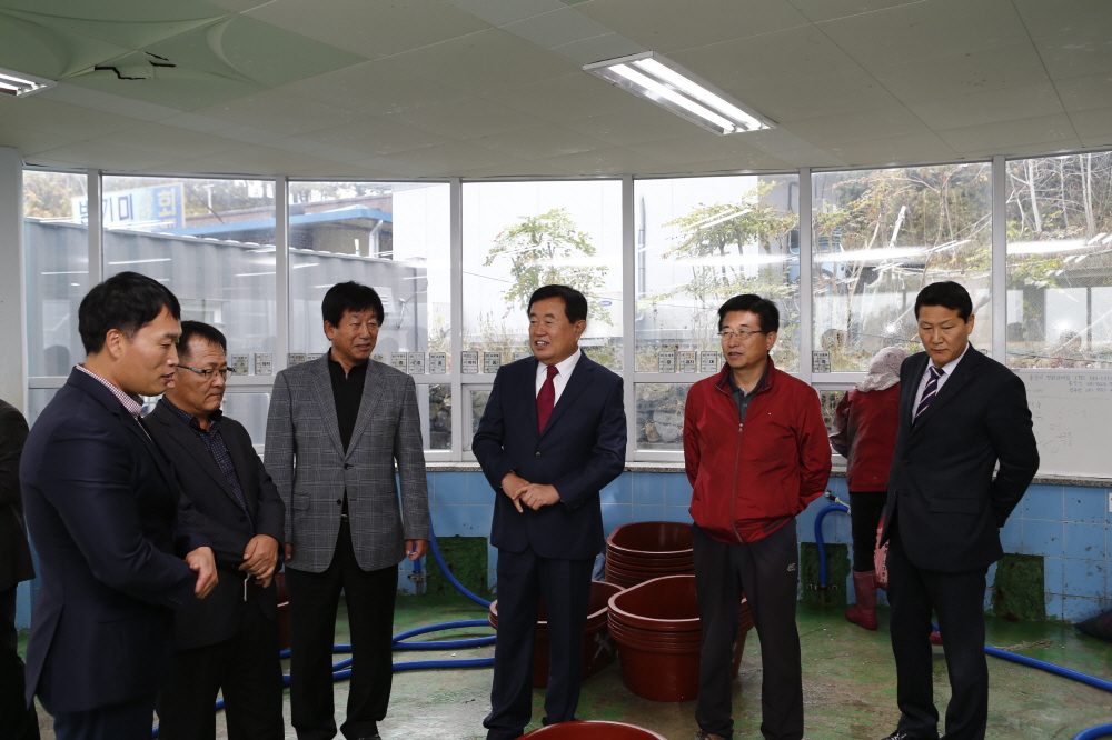 초사 낙지위판장 방문 어업인 격려 이미지