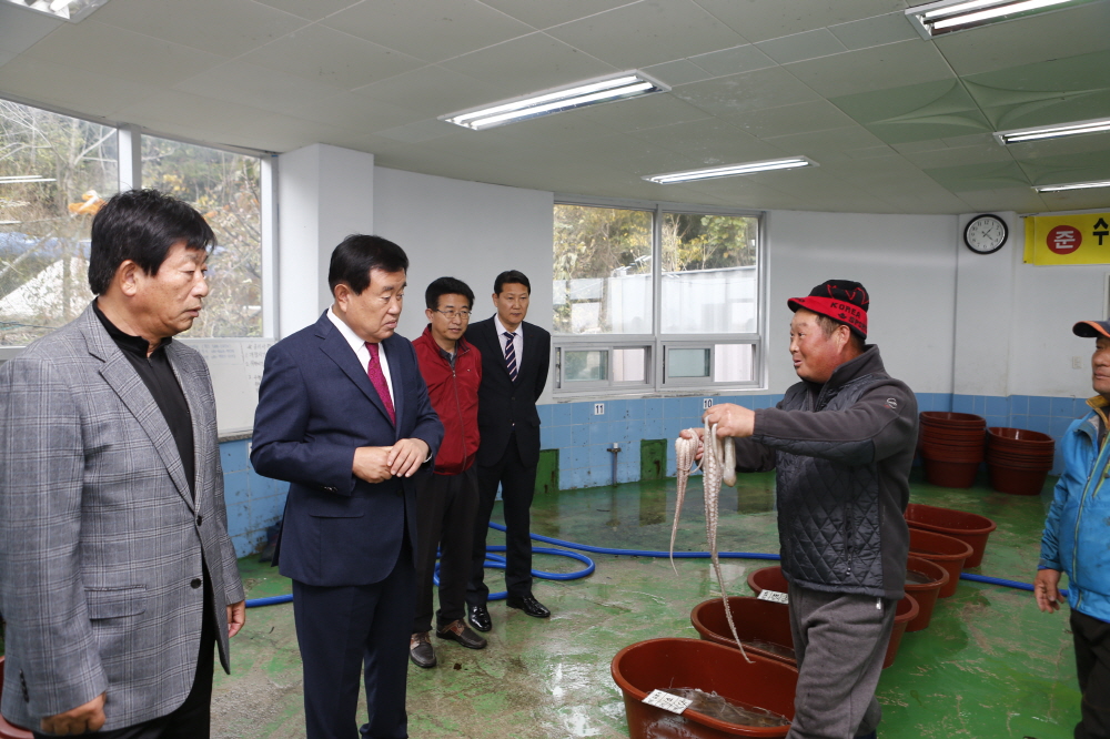 초사 낙지위판장 방문 어업인 격려 첨부#2