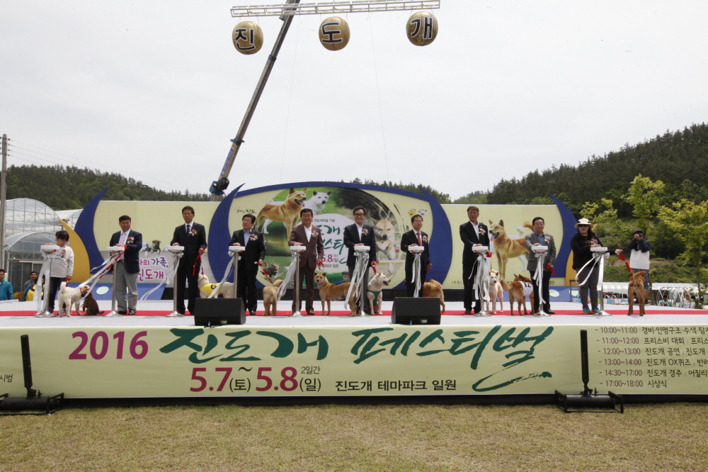 제5회 2016진도개페스티벌 이미지