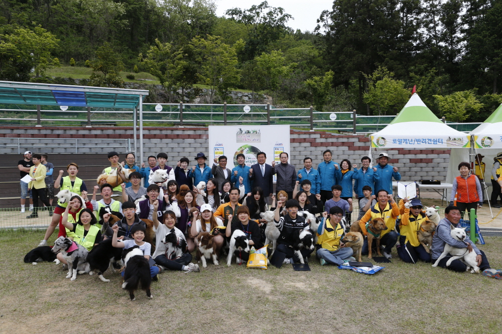 제5회 2016진도개페스티벌 첨부#4