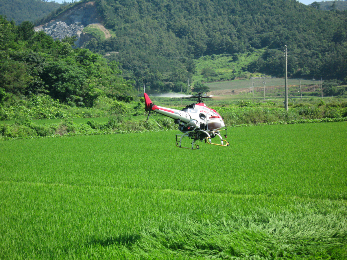진도군, 무인헬기 이용 등 방제 실시 이미지