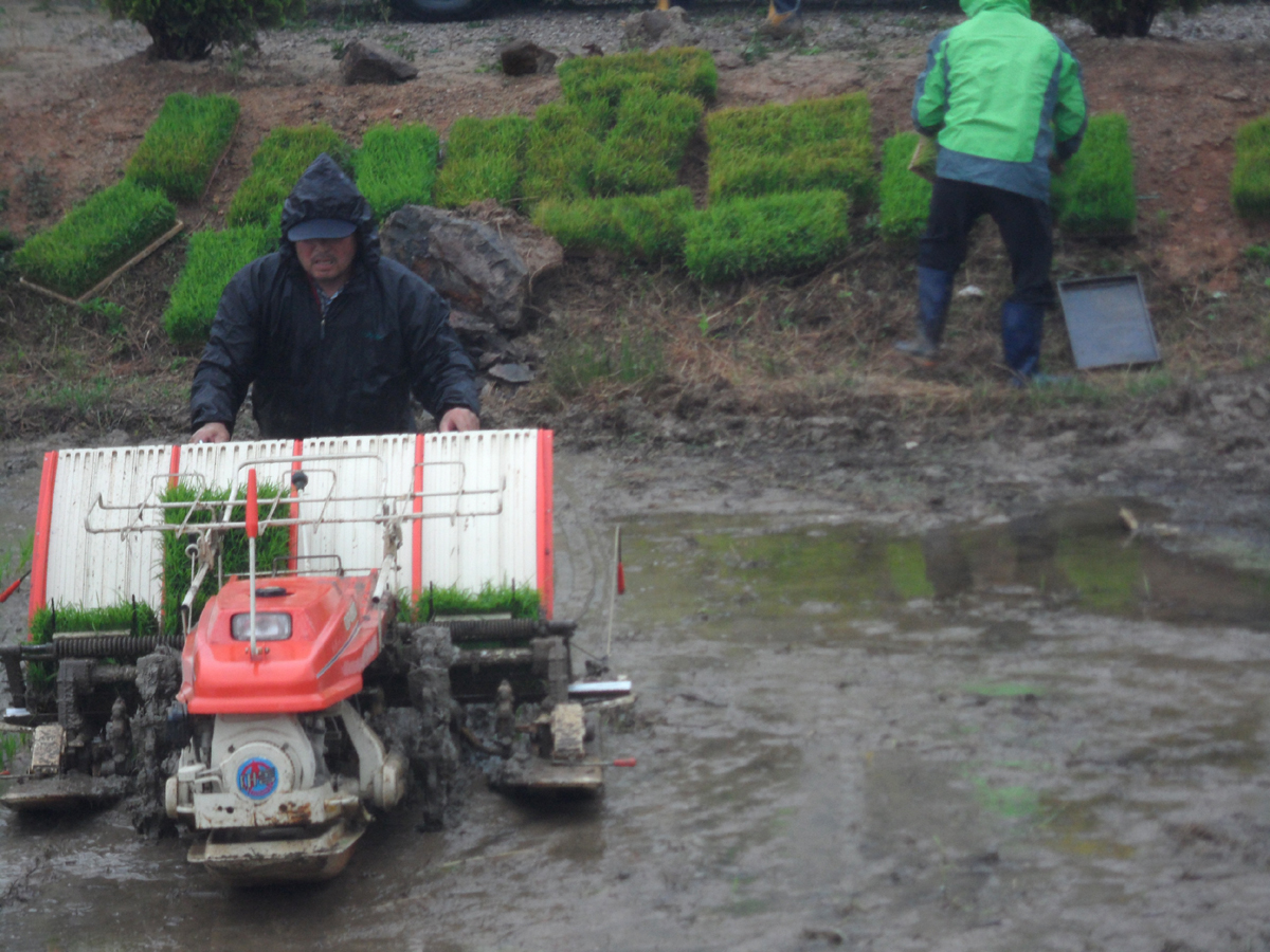 진도군, 휴경지 살리고 이웃도 돕고 “기쁨 두배” 이미지