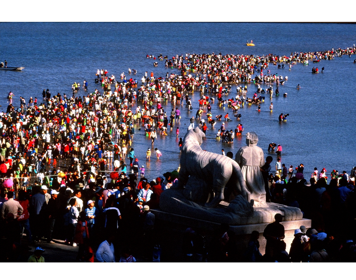 진도군, 여행전문 파워블로거 초청 팸 투어 이미지