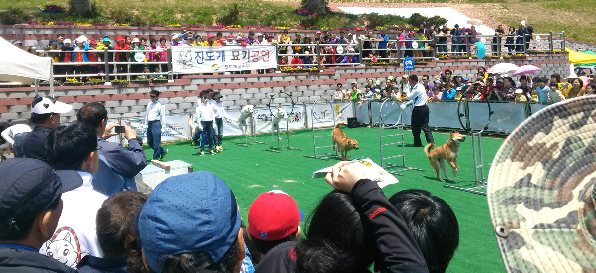 ˝진도 아리랑 버스투어로 보배섬 진도스타일 체험하세요˝ 이미지