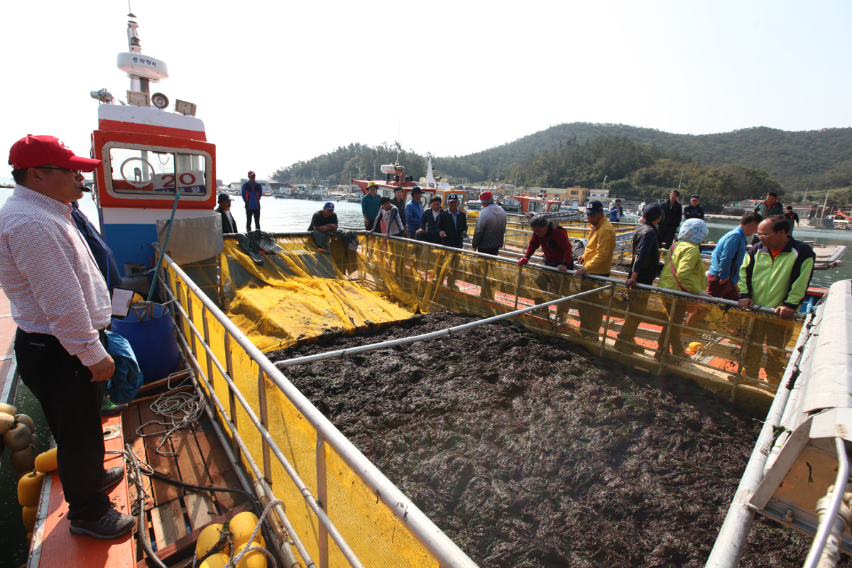 진도군, 수산 발전 4개년 계획 수립 이미지
