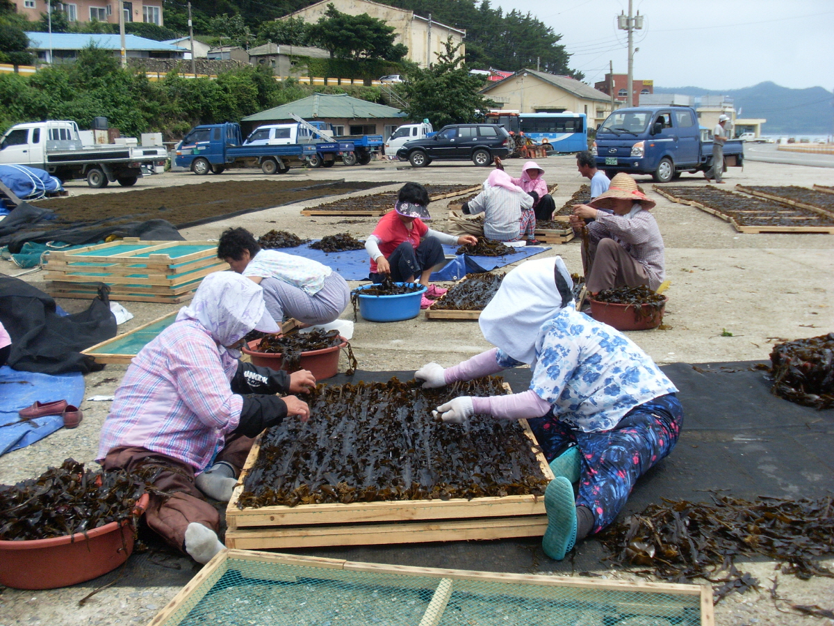 진도군, 2018년까지 ＇군민소득 1조원 달성＇ 준비 착착 이미지