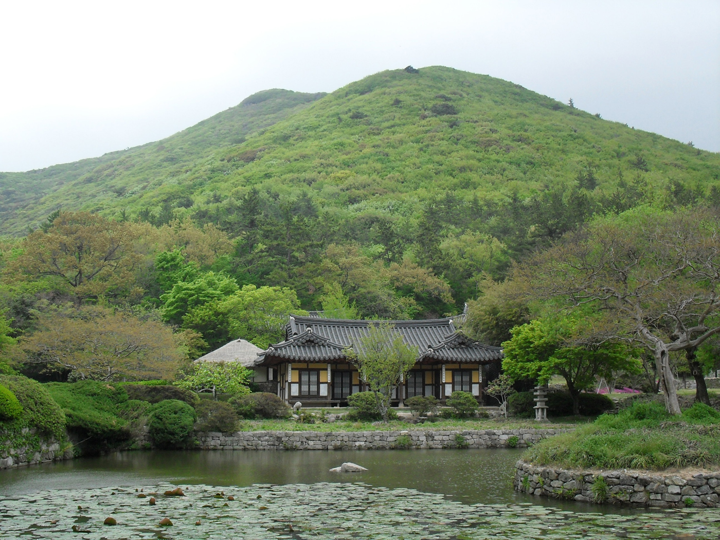 진도군, 운림산방 등 오는 8월 16일까지 야간 개방 운영 이미지