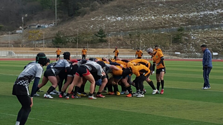 진도군 동계 전지훈련 열기…스포츠 마케팅 활발 이미지