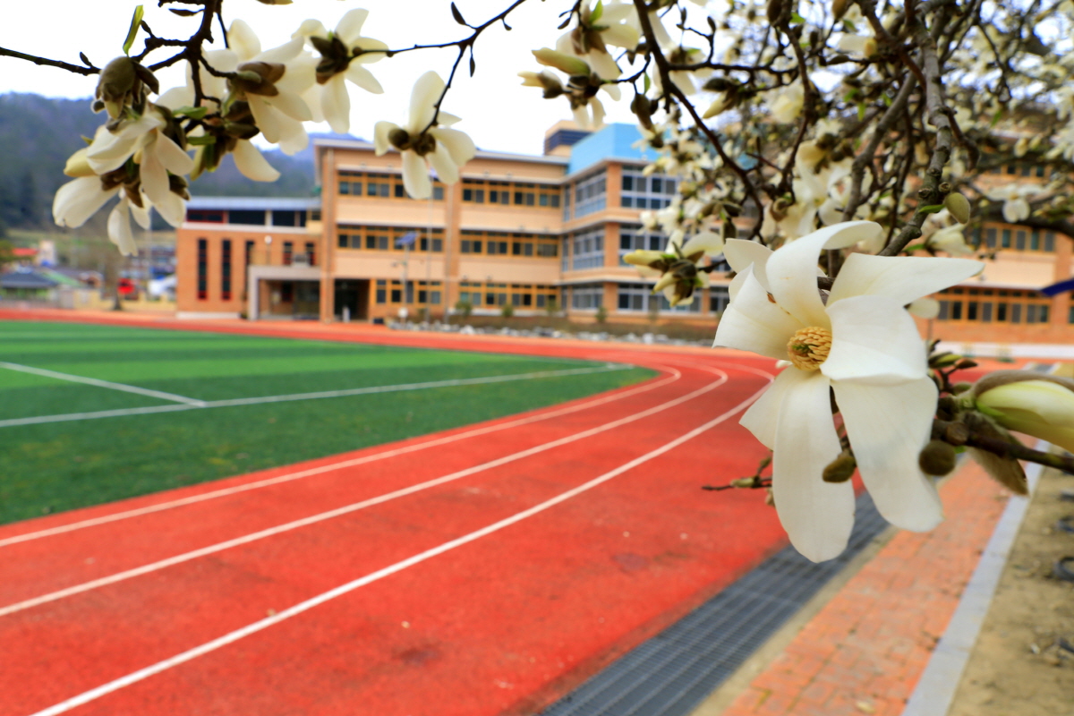 100년의 인자한 자태, 맑고 고운 꽃 피우다 이미지