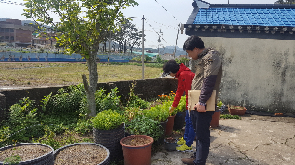 진도군, 양귀비 등 마약류 밀․경작 중점 단속 이미지