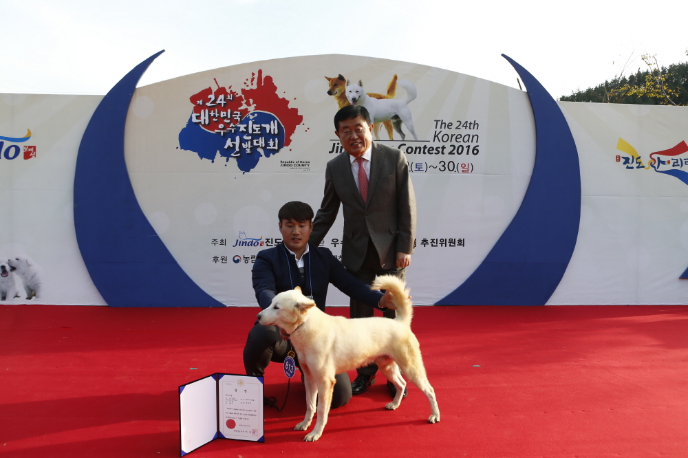 제24회 대한민국 우수진도개 선발대회 이미지