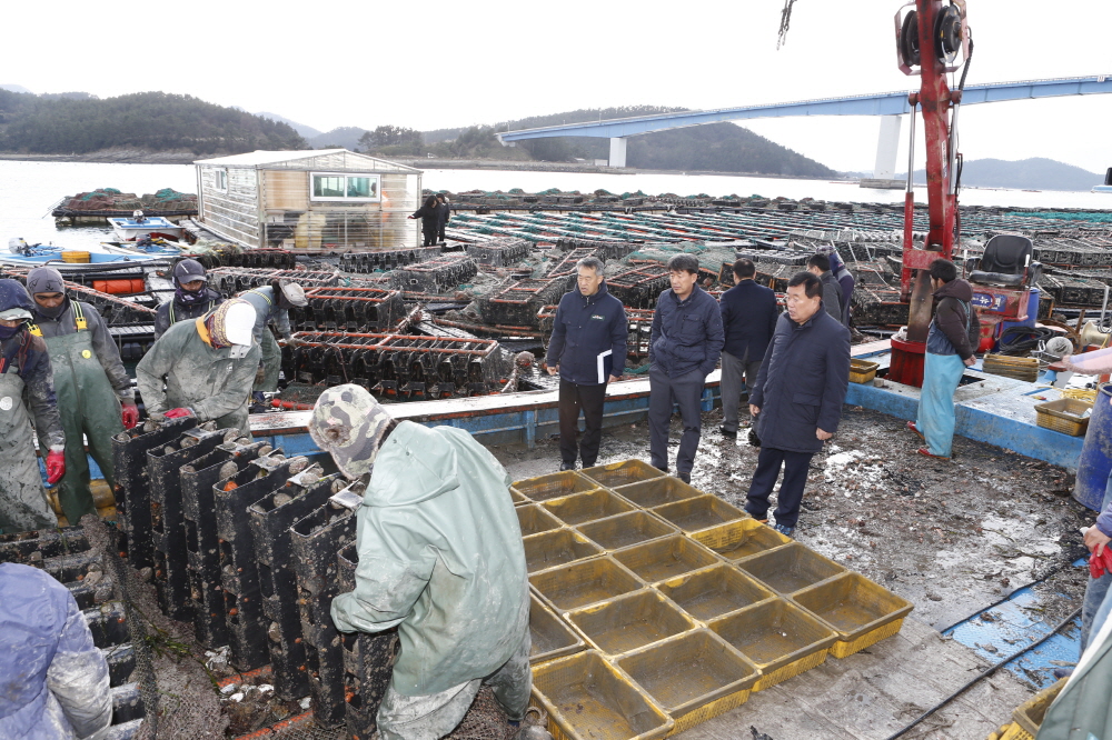 조도면 맹성리 전복폐사현장 방문 이미지
