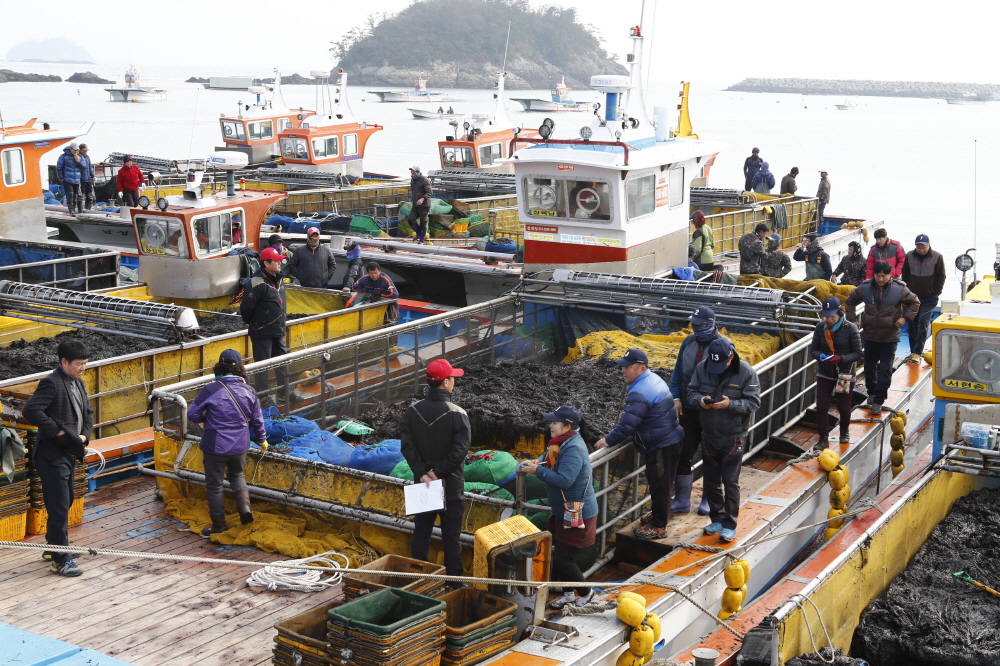 의신면 수품리 김 수매식 첨부#4
