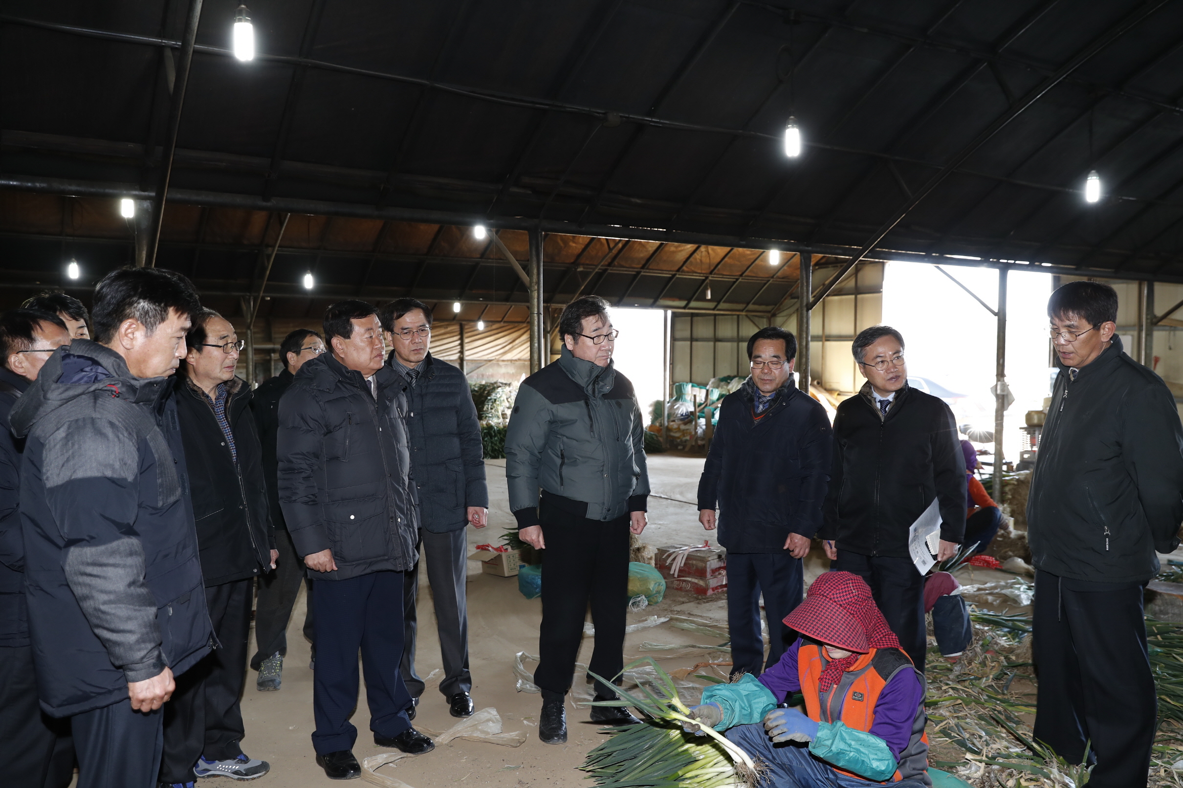 이낙연전남도지사 고군면 농산물 수확현장 방문 첨부#4