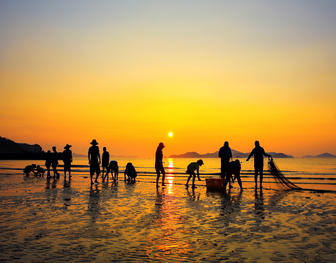 2016 진도 전국 사진 공모전 입선(조개잡이) 첨부#1