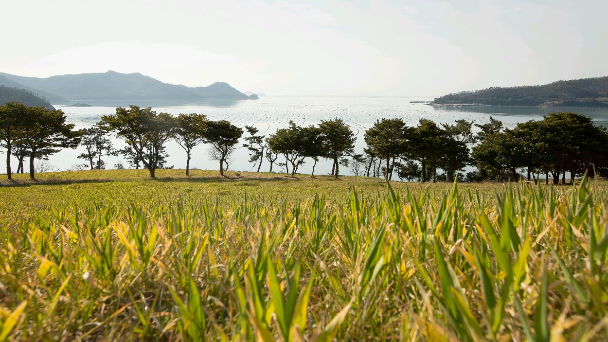 농민신문 김덕영기자님 감사합니다. 첨부#1