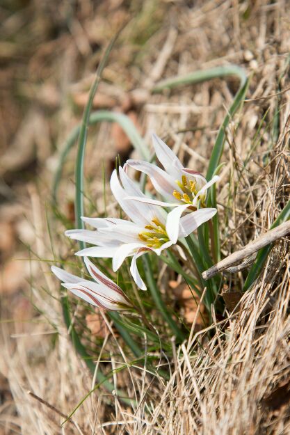 농민신문 김덕영기자님 감사합니다. 첨부#3