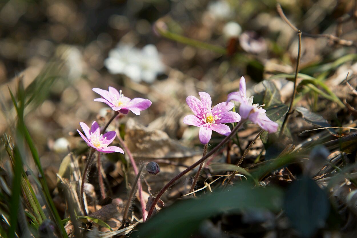 농민신문 김덕영기자님 감사합니다. 첨부#4