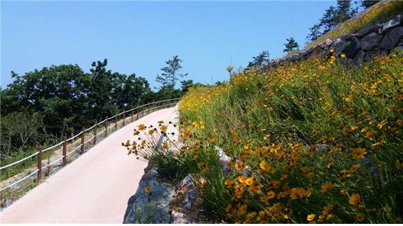 가사도생태섬과 사천 편백숲(무장애길) 첨부#2