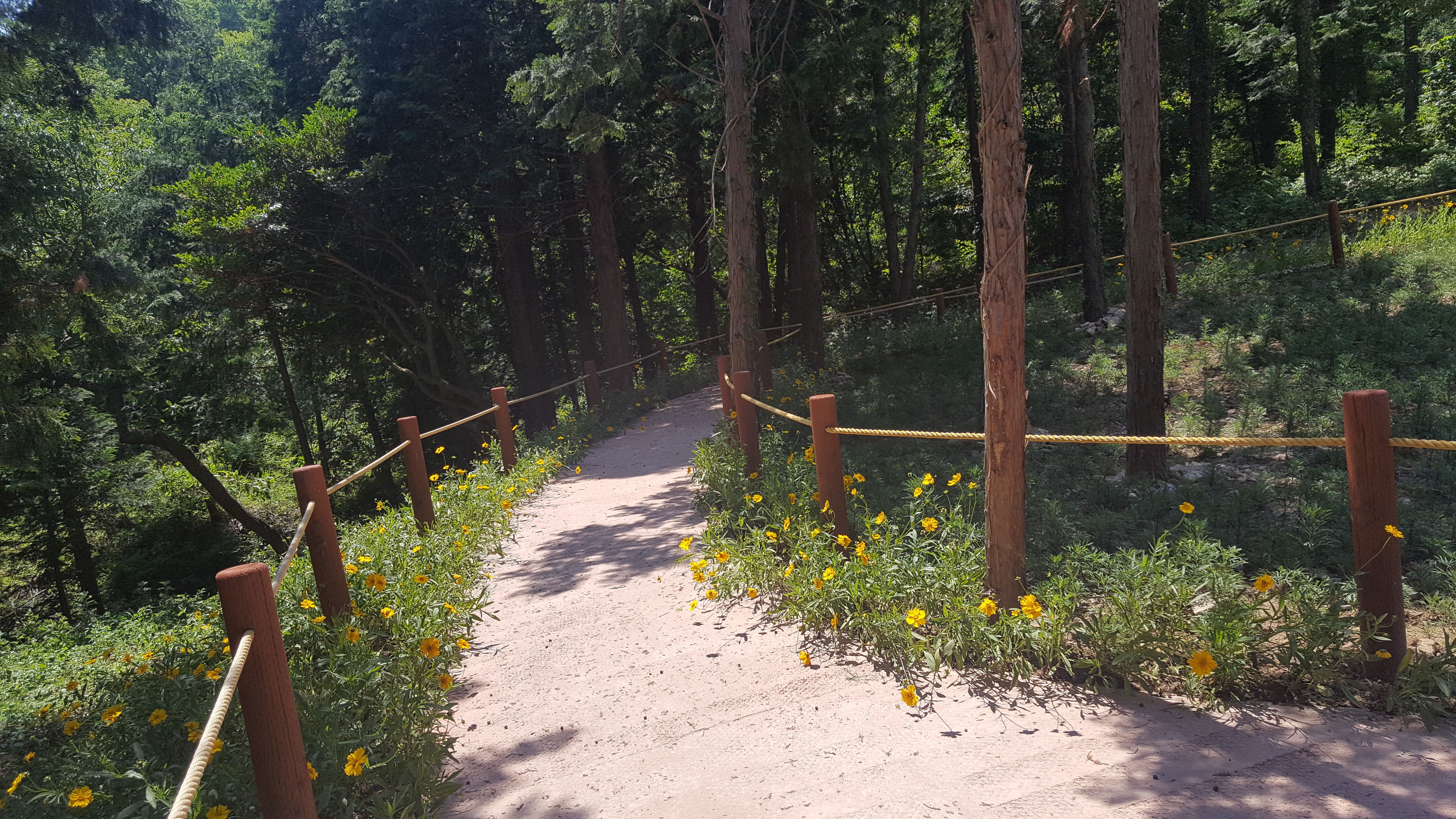 가사도생태섬과 사천 편백숲(무장애길) 첨부#4