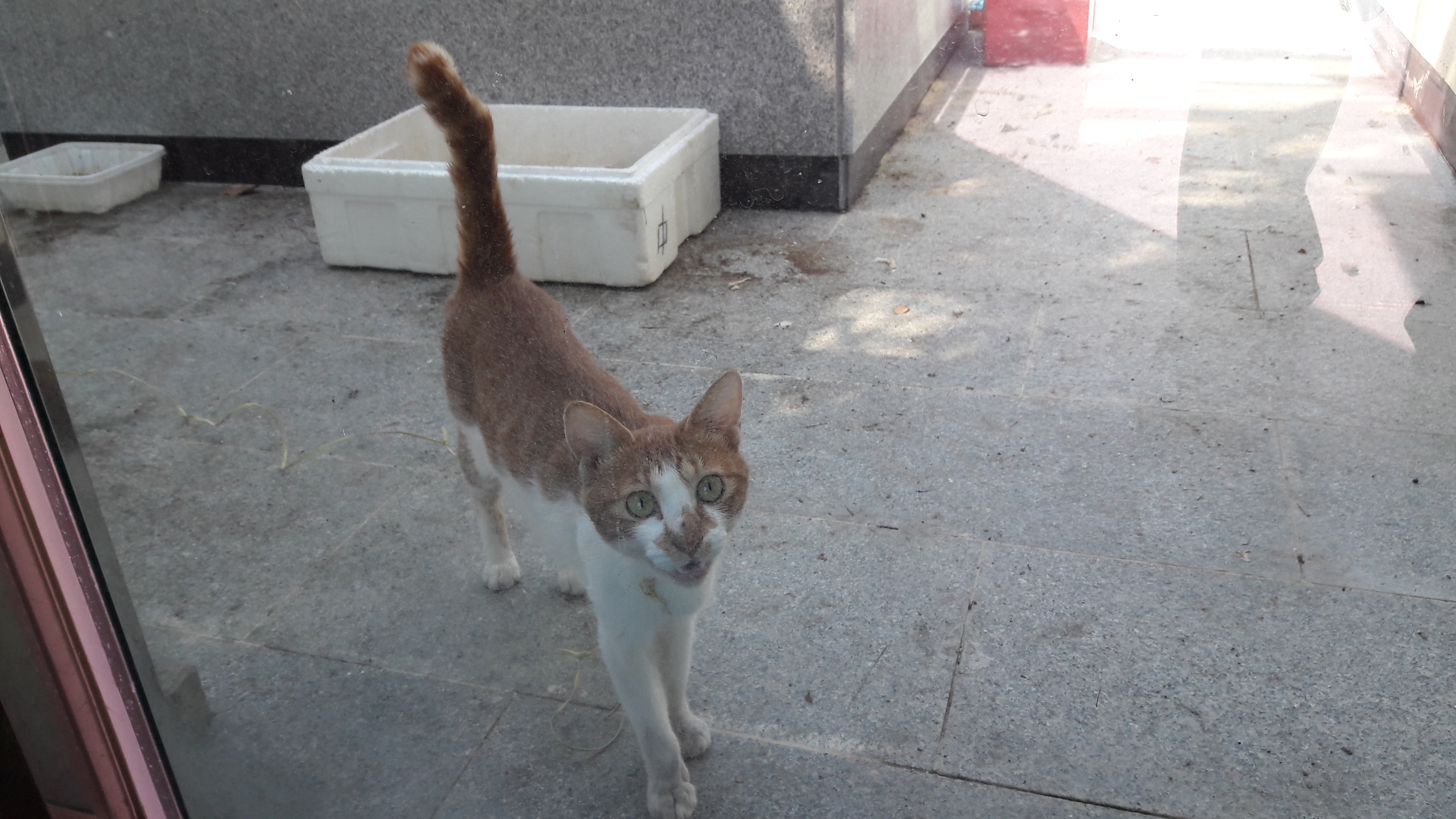 아리랑마을에 대한 아쉬움 첨부#1