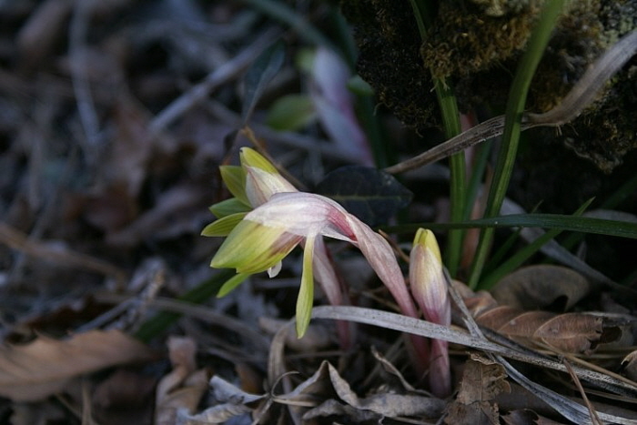 진도군 문화관광해설사 장재호님을 칭찬합니다. 첨부#1