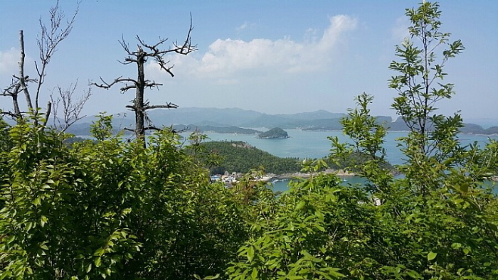 진도군 문화관광해설사 장재호님을 칭찬합니다. 첨부#2
